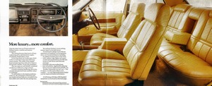 1976 Ford Fairlane 500 ZH-04-05.jpg
